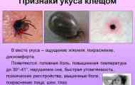 Тестови по залак