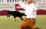 Dogdancing: танцување турнир со кучиња