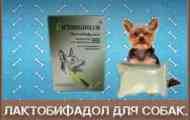 Карактеристики на употребата на lactobifadol за кучиња