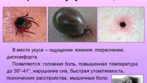 Тестови по залак