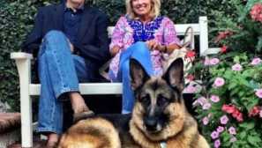 Четири нозе жители на белата куќа: прво кучиња претседателот џо бејден