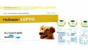 Dhppi nobivak: инструкции и апликација lepto одмор