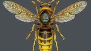 Опасни црни рогови