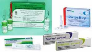 Откажи-здодевна енцефалитис вакцинација: вакцинација карактеристики