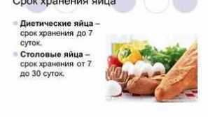 Рок на траење на пилешки јајца и услови за складирање