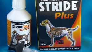 Stride plus за кучиња: апликација и можни контраиндикации