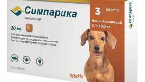Блох апчиња за кучиња