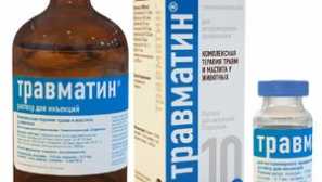 Трауматин за кучиња и мачки: инструкции за употреба