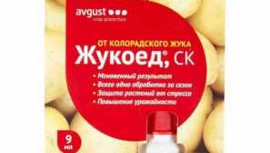 Zhukoede од колорадо beetle - правила за ефикасен третман на бокер култури